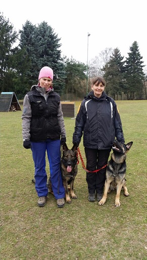 Ausdauerprüfung 2015 Ausdauerprüfung 2015