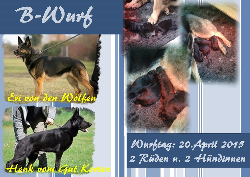 B-Wurf B-Wurf