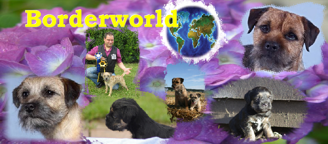 Borderworld Fahne 2_1