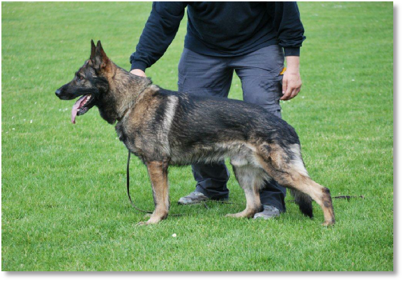 Quando vom Haus van Hipp