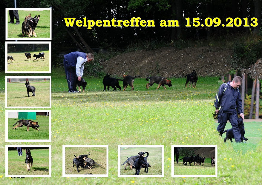Welpentreffen Welpentreffen