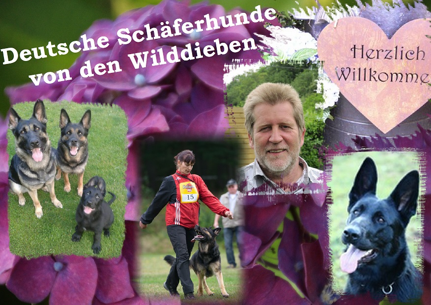 Wilddiebe Start 2018