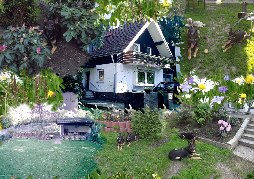 Wilddiebe Zuhause 2 Wilddiebe Zuhause 2