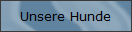 Unsere Hunde
